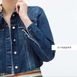 Zara Distressed cropped jean jacket